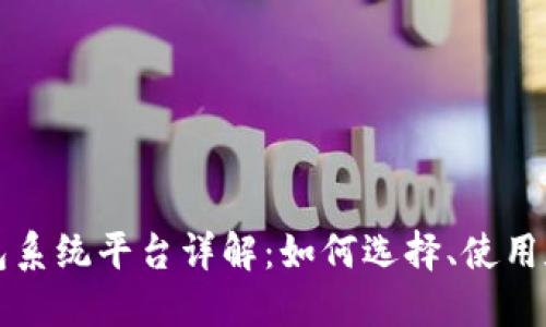 区块链钱包系统平台详解：如何选择、使用和安全保障