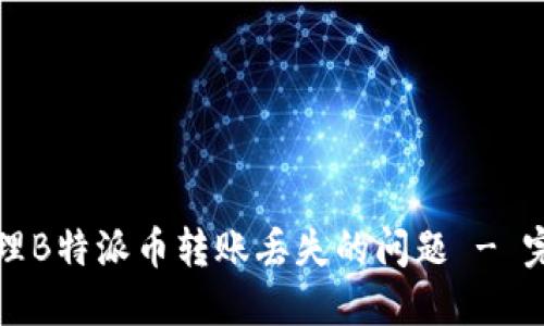 如何处理B特派币转账丢失的问题 - 完整指南