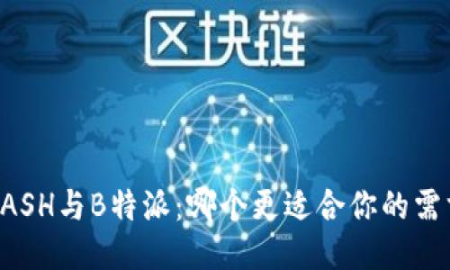 KCASH与B特派：哪个更适合你的需求？