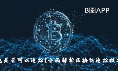 区块链钱包是否可以追踪？全面解析区块链追踪技术及其影响