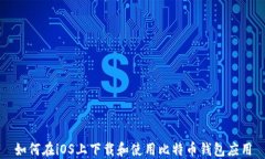 如何在iOS上下载和使用比