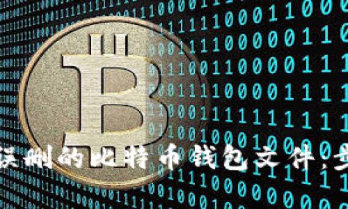 如何恢复误删的比特币钱包文件：步骤与技巧