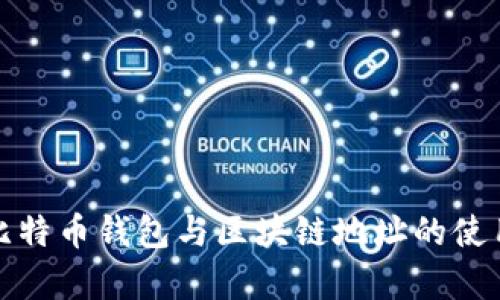 全面解析比特币钱包与区块链地址的使用与安全性