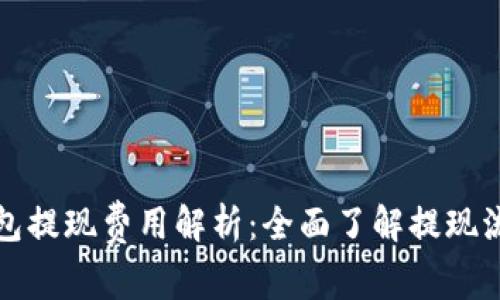 比特币钱包提现费用解析：全面了解提现流程与成本