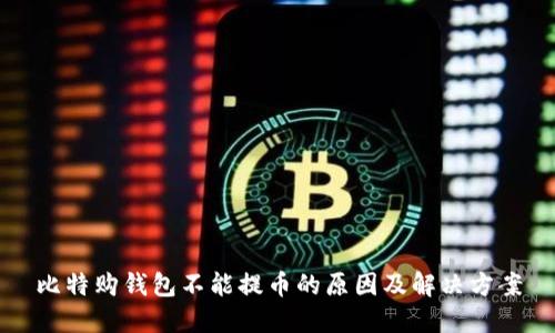 比特购钱包不能提币的原因及解决方案