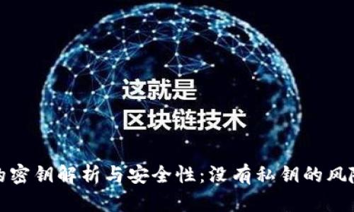 比特币钱包的密钥解析与安全性：没有私钥的风险与应对策略