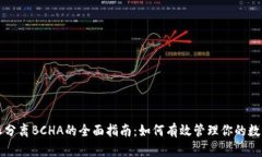比特派分离BCHA的全面指南