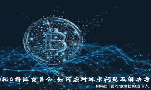 揭秘B特派交易会：如何应对冻卡问题及解决方案