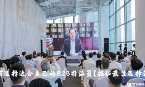 如何选择适合自己的B2B特派员？揭秘最佳选择策略