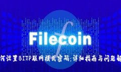 如何设置BITP联网模式密码