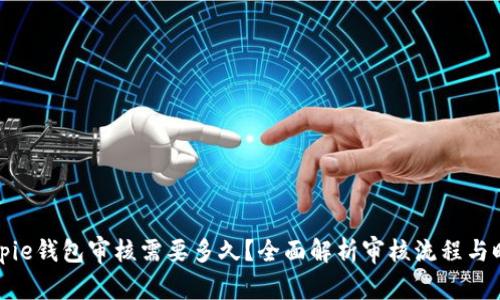 Bitpie钱包审核需要多久？全面解析审核流程与时间