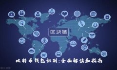 比特币钱包识别：全面解
