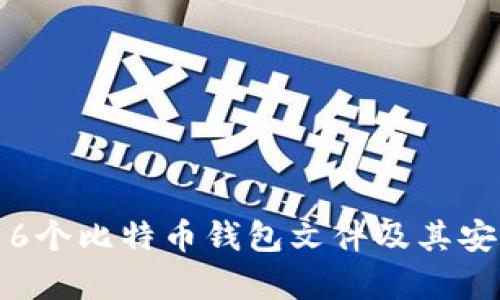 全面解析：16个比特币钱包文件及其安全管理技巧