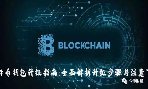 比特币钱包升级指南:全面解析升级步骤与注意事项