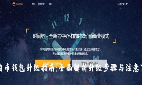 比特币钱包升级指南：全面解析升级步骤与注意事项