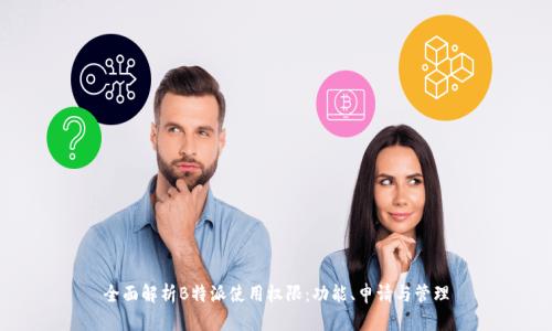 全面解析B特派使用权限：功能、申请与管理