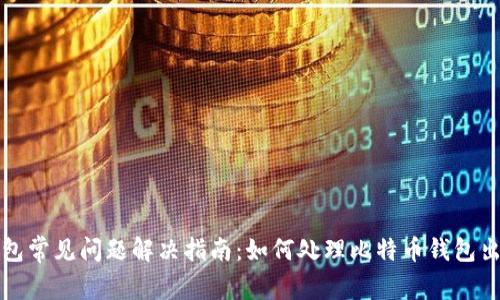 比特币钱包常见问题解决指南：如何处理比特币钱包出现的问题