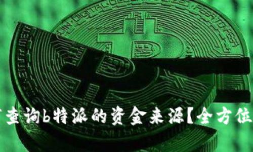 如何查询b特派的资金来源？全方位解析