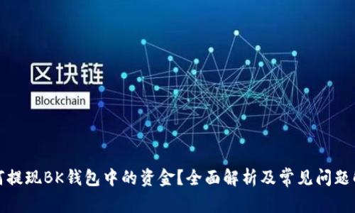 如何提现BK钱包中的资金？全面解析及常见问题解答