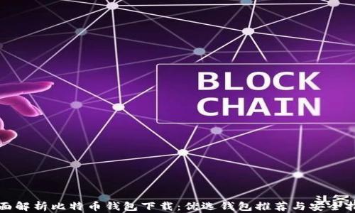 全面解析比特币钱包下载:优选钱包推荐与安全指南
