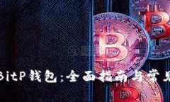如何找回BitP钱包：全面指