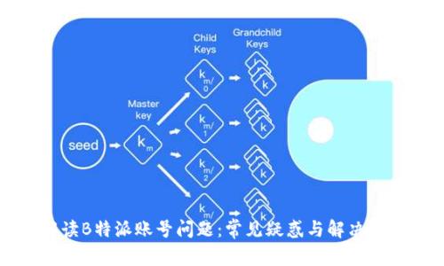 解读B特派账号问题：常见疑惑与解决方案