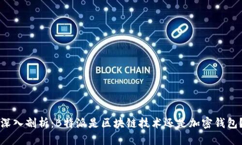 深入剖析：B特派是区块链技术还是加密钱包？