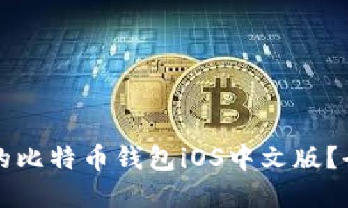 如何选择最适合的比特币钱包iOS中文版？全方位指南与推荐