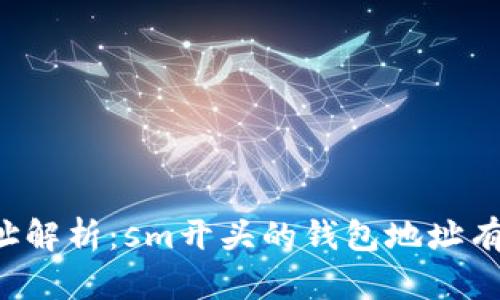 区块链钱包地址解析：sm开头的钱包地址有什么特别之处？