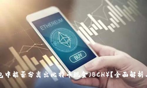 比特币钱包中能否分离出比特币现金（BCH）？全面解析与实用指南