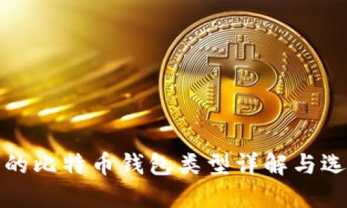 最安全的比特币钱包类型详解与选择指南