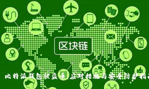比特派钱包被盗币:应对措施与安全防护指南