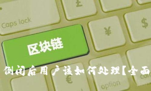 比特币钱包平台倒闭后用户该如何处理？全面指南与解决方案