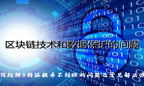 如何处理B特派提币不到账的问题及常见解决办法