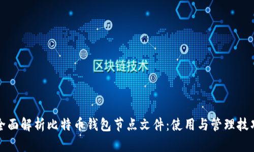 全面解析比特币钱包节点文件：使用与管理技巧