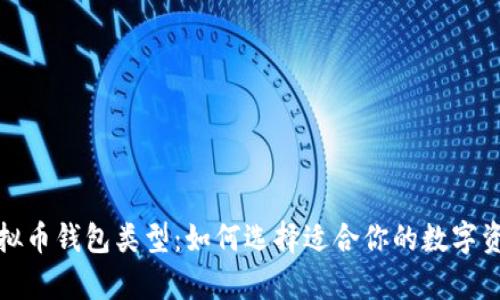 全面解析虚拟币钱包类型：如何选择适合你的数字资产存储方案