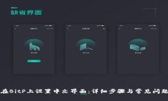 如何在BitP上设置中文界面：详细步骤与常见问题