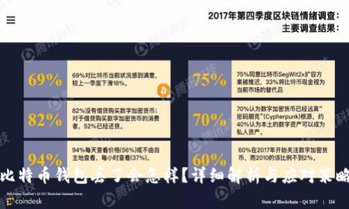 比特币钱包丢了会怎样？详细解析与应对策略