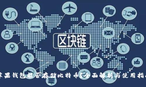 苹果钱包能否存储比特币？全面解析与使用指南