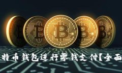 如何使用比特币钱包进行