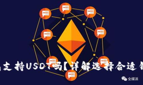 : Coinomi钱包支持USDT吗？详解选择合适钱包的关键因素