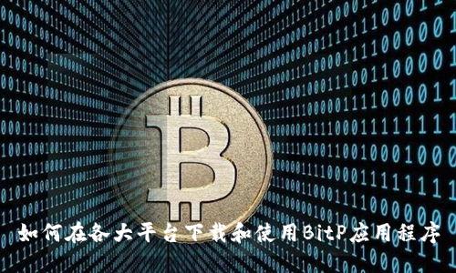 如何在各大平台下载和使用BitP应用程序