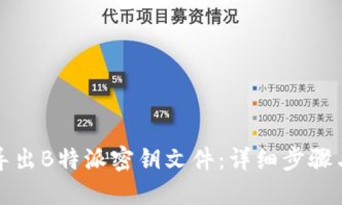 如何导出B特派密钥文件：详细步骤与技巧