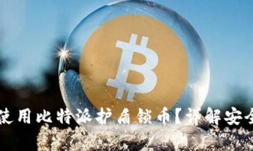 字信道如何有效使用比特派护盾锁币？详解安全策略与最佳实践