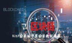 BitP安卓版下载安装教程详