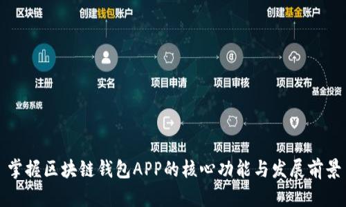 掌握区块链钱包APP的核心功能与发展前景
