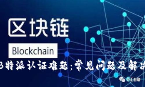 解析B特派认证难题：常见问题及解决方案