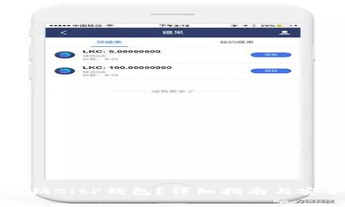 如何安全注销BitP钱包？详细指南与安全注意事项