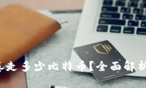 Plus 钱包卷走多少比特币？全面解析与用户须知