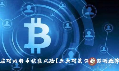 如何应对比特币被盗风险？五大对策保护你的数字资产